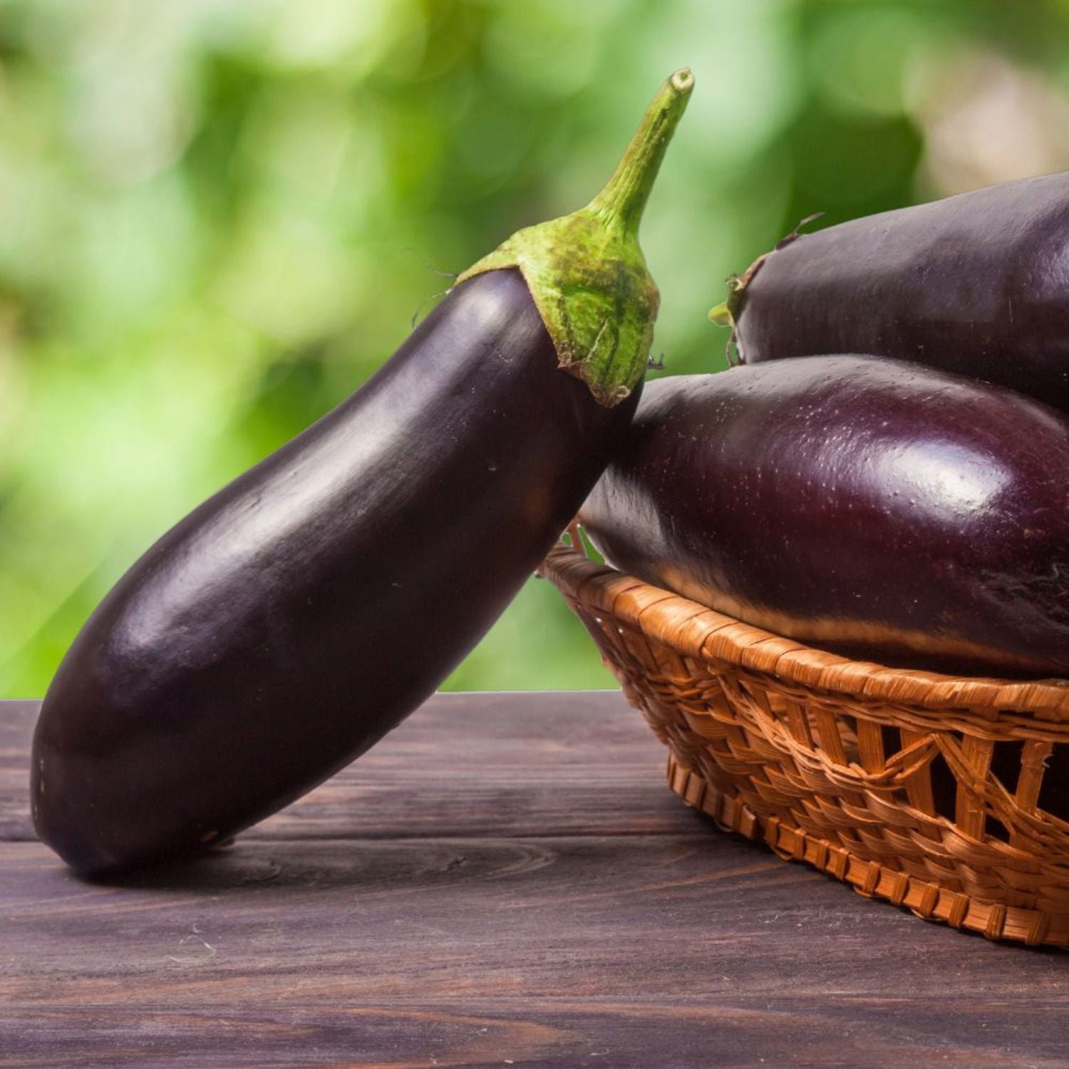 Proven Winners 4" Eggplant Live Plant in 4.25" Pot (4 Count)
