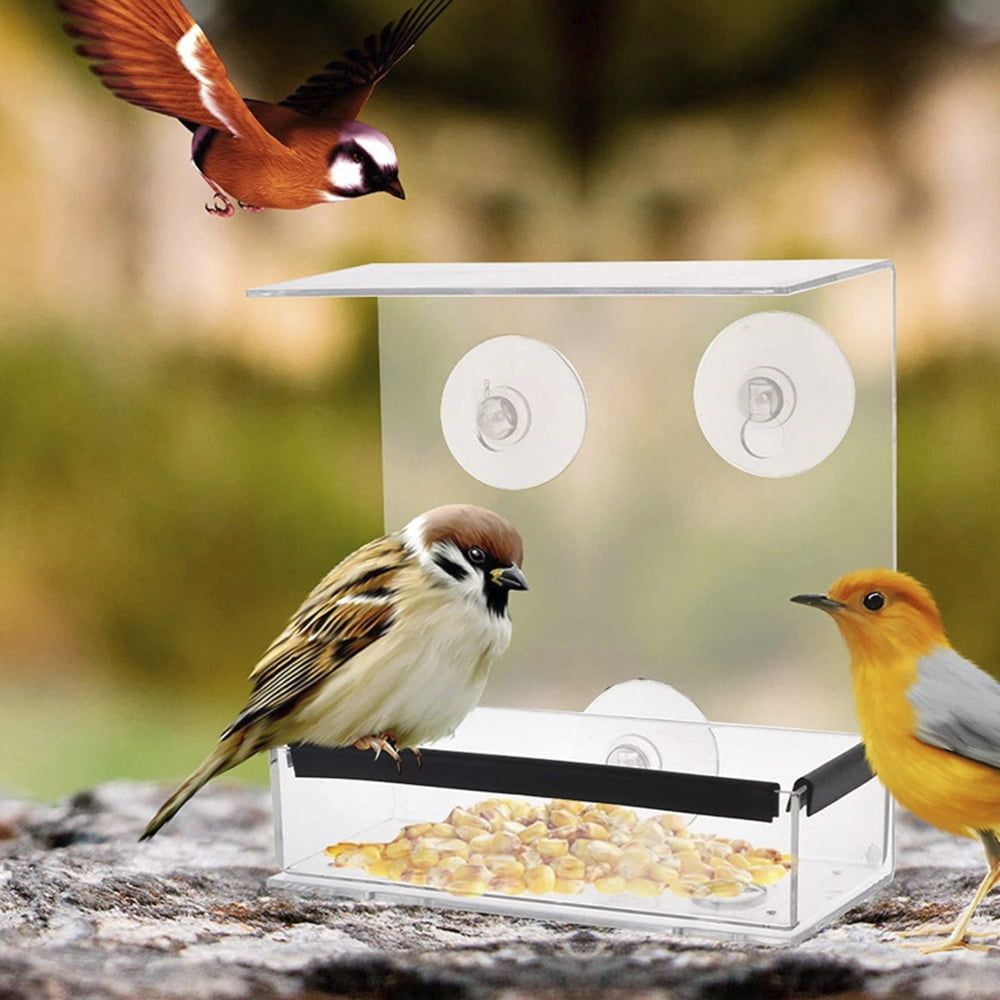 Bird Feeder Wild Table Window Hanging Suction Perspex Clear Viewing Seed Tool 