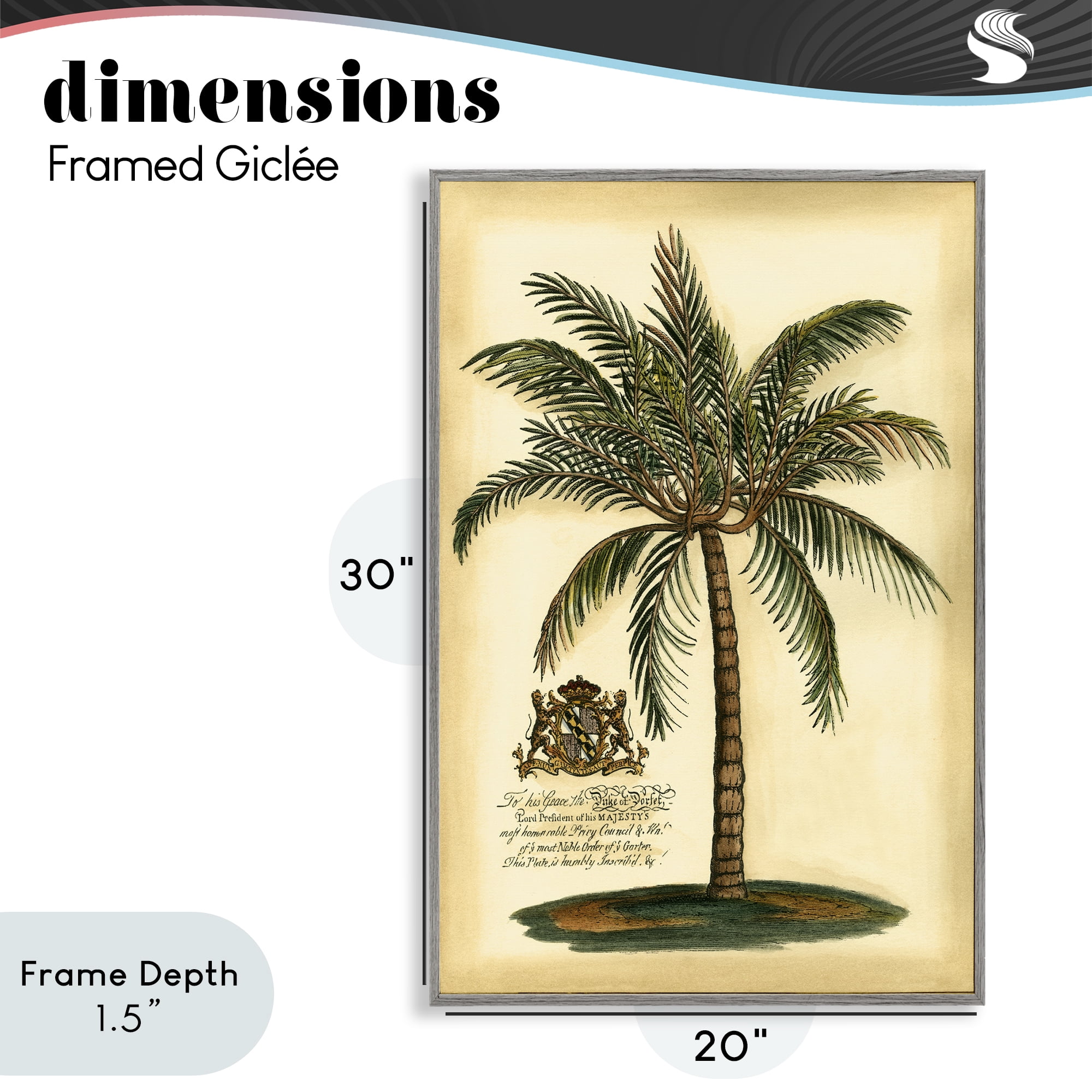 Stupell Industries British Colonial Palm Gray Framed Giclee Art, design by Vision Studio