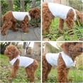 thumbnail image 3 of 2019 Summer Pet Clothing, Dog Clothes Blank T-Shirts Ribbed Tanks Top Thread Vests for Large Medium Small Dogs 100% Cotton White L-M, 3 of 5
