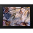 thumbnail image 2 of Fitzharris, Tim 14x11 Black Modern Framed Museum Art Print Titled - Frozen Willow Leaves and Grouse Feather, 2 of 5
