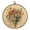 H, variant on Round Canvas Wall Art Painting, 9.8 Inch Farmhouse Wall Decor for Living Room Bedroom, Rustic Cottage Style Circular Art Print, Home Decoration Picture