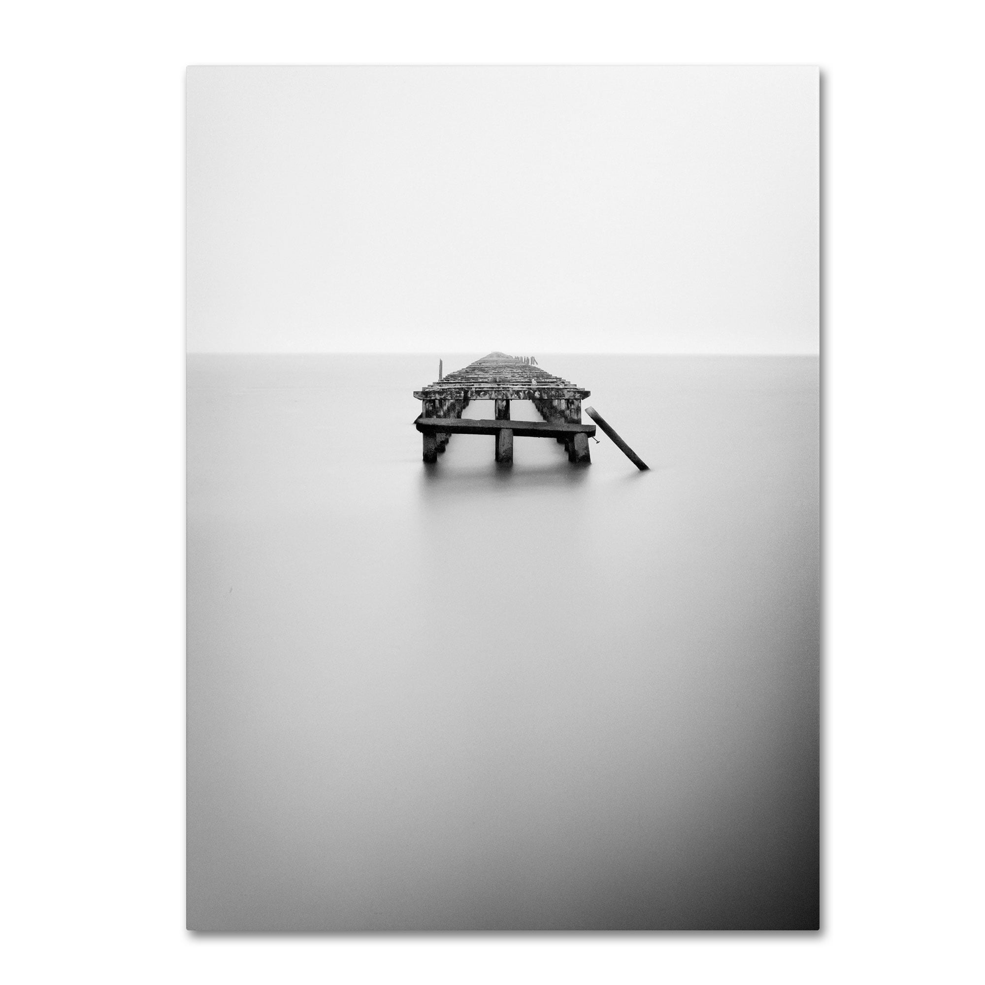 Trademark Fine Art "Infinite Jest" Canvas Wall Art by Geoffrey Ansel Agrons