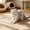 Blue, variant on Byujiro Mesh Tube Cat Teething Ring Toy Interactive Bell-Equipped Chew Toy, Lightweight Flexible Double Loop Toy for Indoor Cats to Bite, Play & Relieve Stress