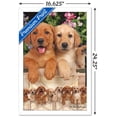thumbnail image 3 of Keith Kimberlin - Puppies - Labs Wall Poster, 14.725" x 22.375", Framed, 3 of 5