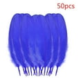 thumbnail image 2 of Clearance Under $1 Pedty 50 Feathers,50 Pcs Colourful For Wedding Party Flower Arrangement Home Decoration Diy Middle Floating Plume For Hair Cat Stick Clothing Craft Decoration,Office Cabinet, 2 of 3