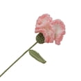 thumbnail image 1 of Bgsha Carnation Crochet Flower Single Bunch Knitted Flower Mother's Day Present, 1 of 9