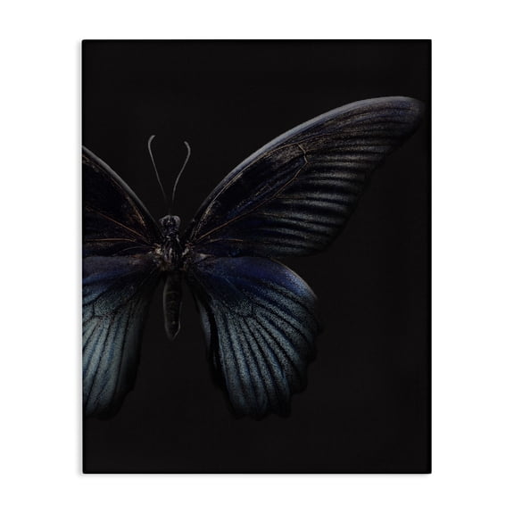 Stupell Industries Glam Butterfly Abstract Wings Animal Photograph Canvas Art, 24 x 30, by Design Fabrikken