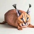 thumbnail image 3 of Cartoon Cat Plush Toy, Adorable and Soft, Lumbar Pillow, Ideal as a Gift for Kids and Fans, 3 of 3