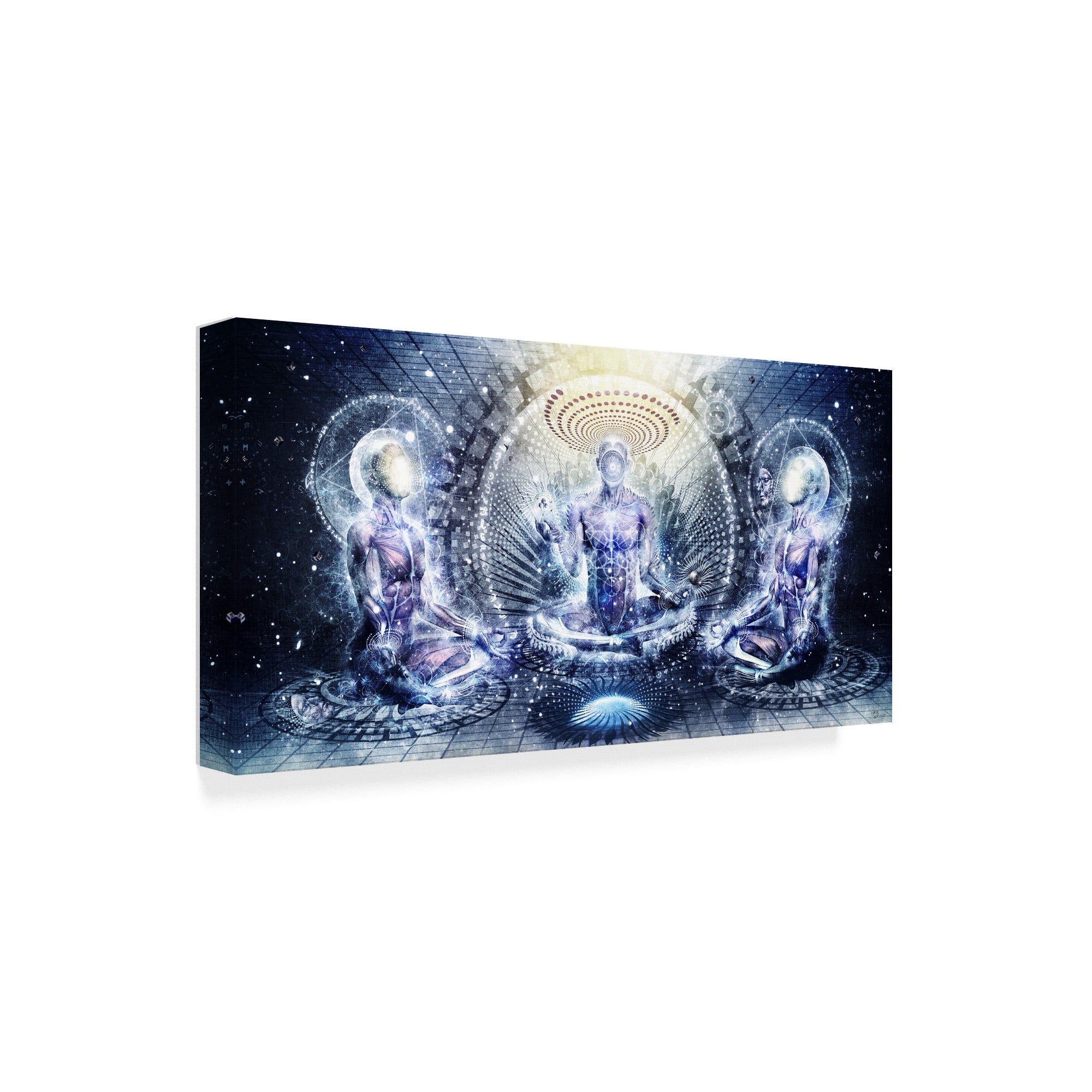 Trademark Fine Art 'Awake Could Be So Beautiful' Canvas Art by Cameron Gray