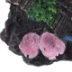 thumbnail image 3 of OUNONA Accesorio De Resina Barril Resistente Para Y De Peces En Pezera, 3 of 6