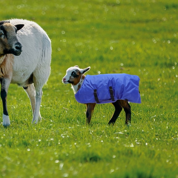Beaupretty 1Pack Coats for Goats Blue Silk Cotton Windproof Protect from Cold Cold Weather 42.5*33.5*0.4in