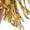 Gold, variant on Sequin Fringe Asymmetrical Mini Skirt Women Glitzy Dance Party Trendy Sparkly Bottoms Gold One Size