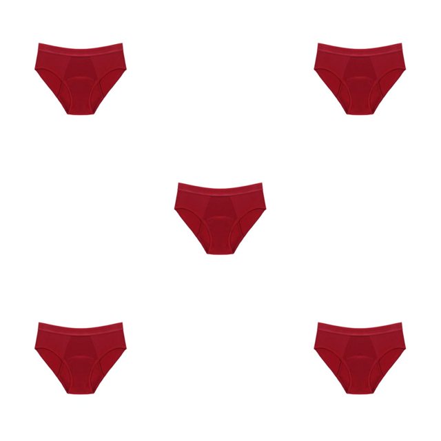 Sonducket calzoncillos de incontinencia de maternidad traje de baño bikinis a prueba de fugas menstruales pantalones fisiológicos bañadores Type2 NO2
