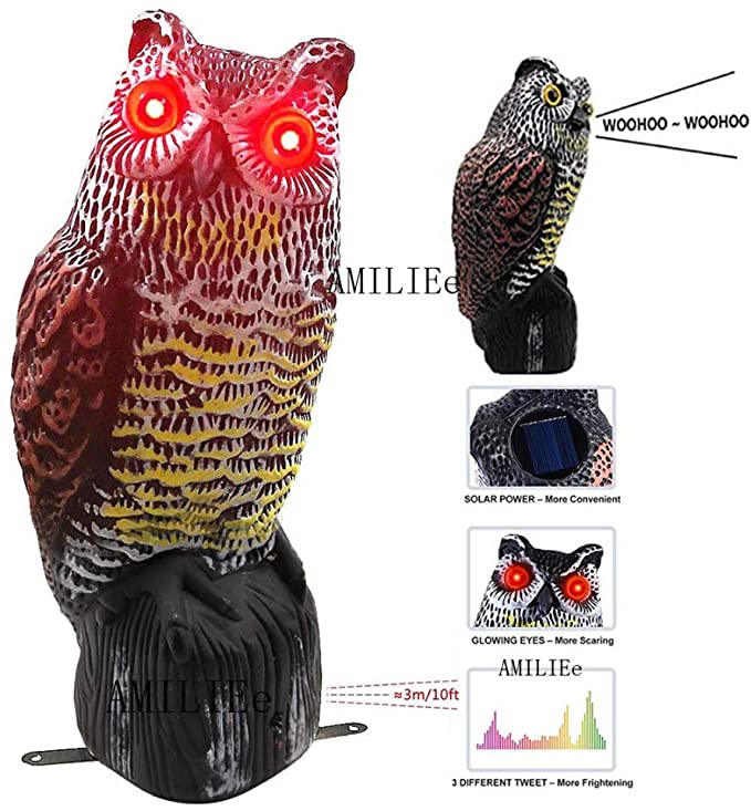 Hausse Solar Fake Horned Owl Statue Solar Powered Halloween Motion  Activated Scarecrow Deterrent Owl with Red Eyes Scary Sound Scare Birds  Away f