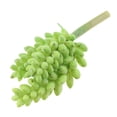 thumbnail image 4 of Follaje de planta suculenta artificial de plástico para decoración de jardín 103 1 14cm, 4 of 9
