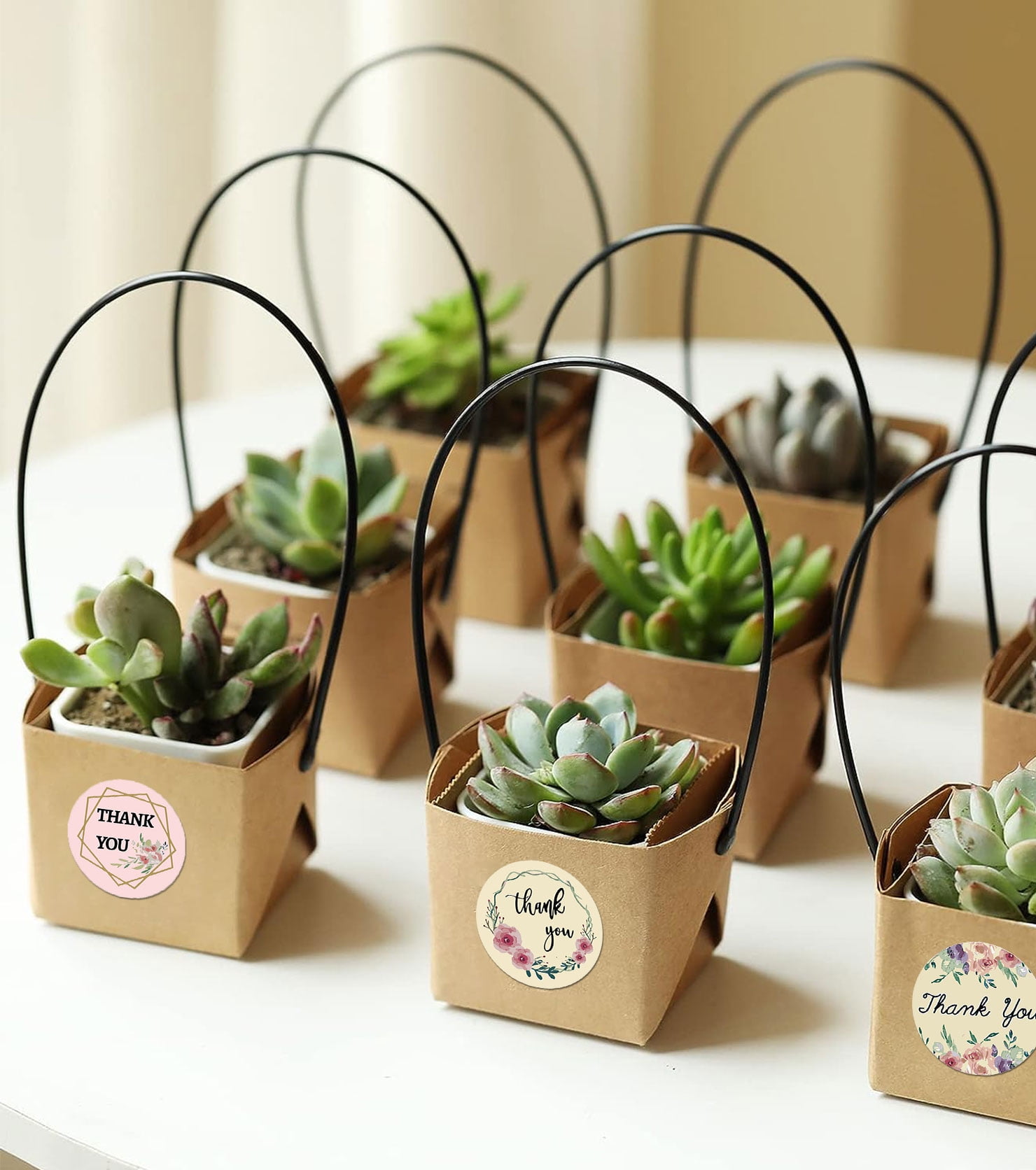Bridal Shower Favors 12 Set Ceramic Succulent Pot Wedding Favors - Kraft  Box Gift For Bridal Shower, Baby Shower & Party Guests Bridal Shower Guest  Gifts