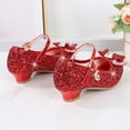thumbnail image 3 of Little Girls Dress Shoes Low Heel Party Wedding Princess Shoes Non-slip Shoes, 3 of 8