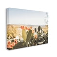 thumbnail image 2 of Stupell Sunlit Prickly Pear Cactus Photography Landscape Photography Gallery Wrapped Canvas Print Wall Art, 2 of 5