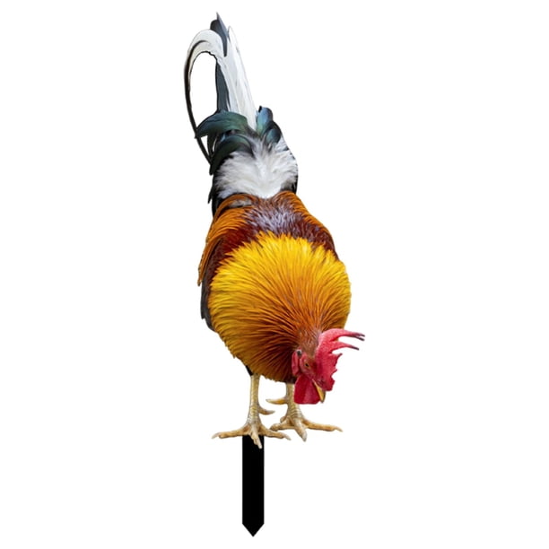 Estatua de pollo en forma de estaca, estatua de jardín acrílica, estatua de pollo Estilo A