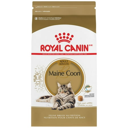 Royal Canin Maine Coon Adult Dry Cat Food, 6 lb (Best Dry Food For Maine Coon Cats)