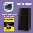 thumbnail image 4 of DEMULLER 2.5 Cu.ft Small Refrigerator with Freezer Mini Fridge for Personal Removable Shelves Black, 4 of 8