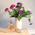 thumbnail image 3 of Lady Perfume Long Lasting Refreshing Light Fragrance Women Perfume 100ml, 3 of 8