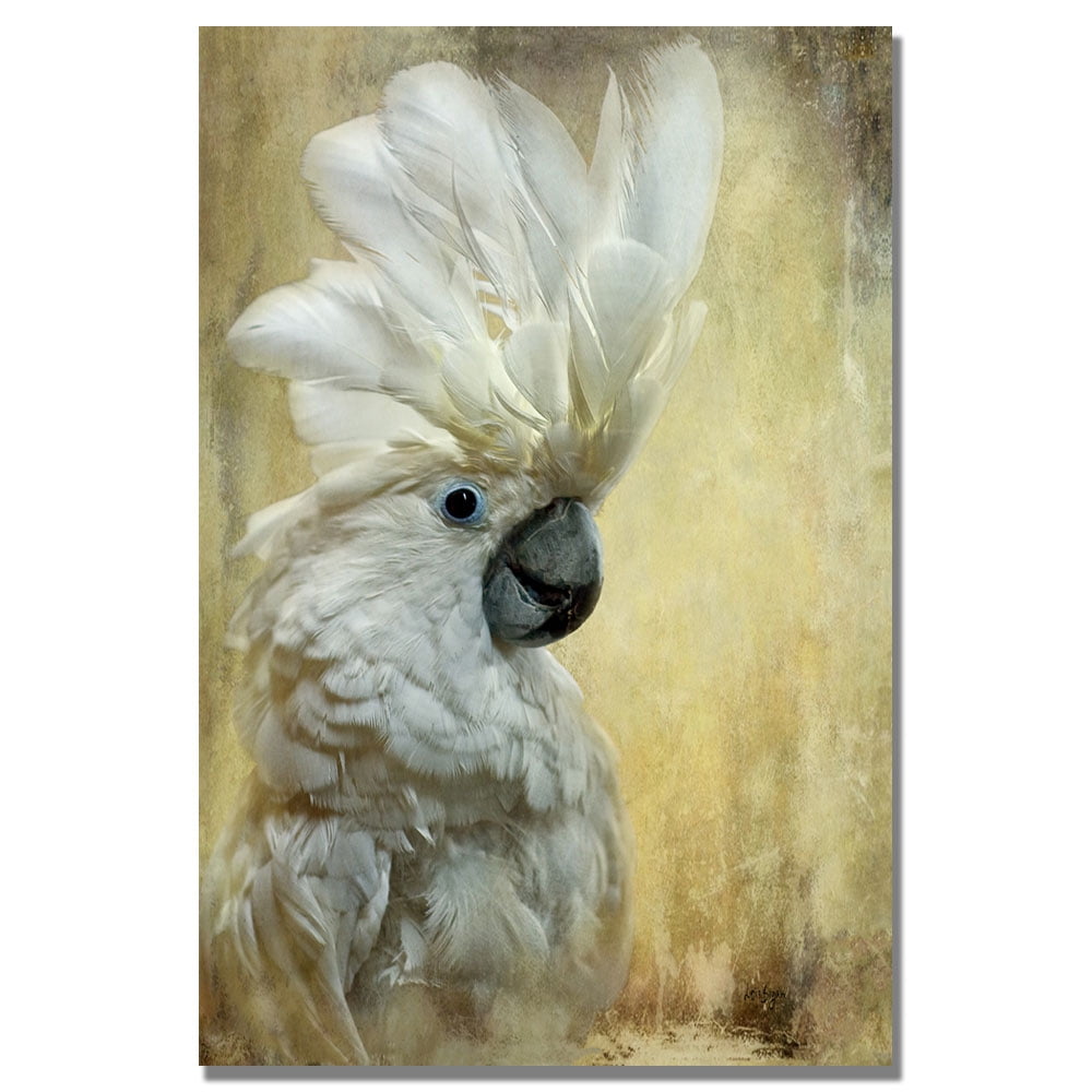 Trademark Fine Art "Cockatoo" Canvas Wall Art by Lois Bryan