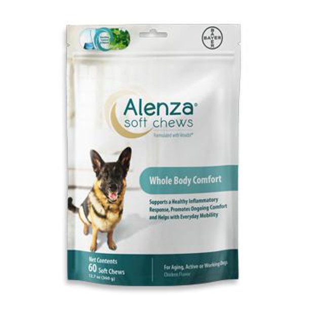 Amazon Com Stratford Pharmaceuticals Cadaflex Soft Chews With Msm Glucosamine For Dogs All Natural Hip Joint Pain Relief Glucosamine Chondroitin Dogs Treats Large Dogs 150 Soft Chews Pet Supplies