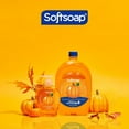 thumbnail image 3 of Softsoap Limited Edition Pumpkin Liquid Hand Soap, Kitchen or Bathroom Hand Soap, 1.47L, 3 of 11