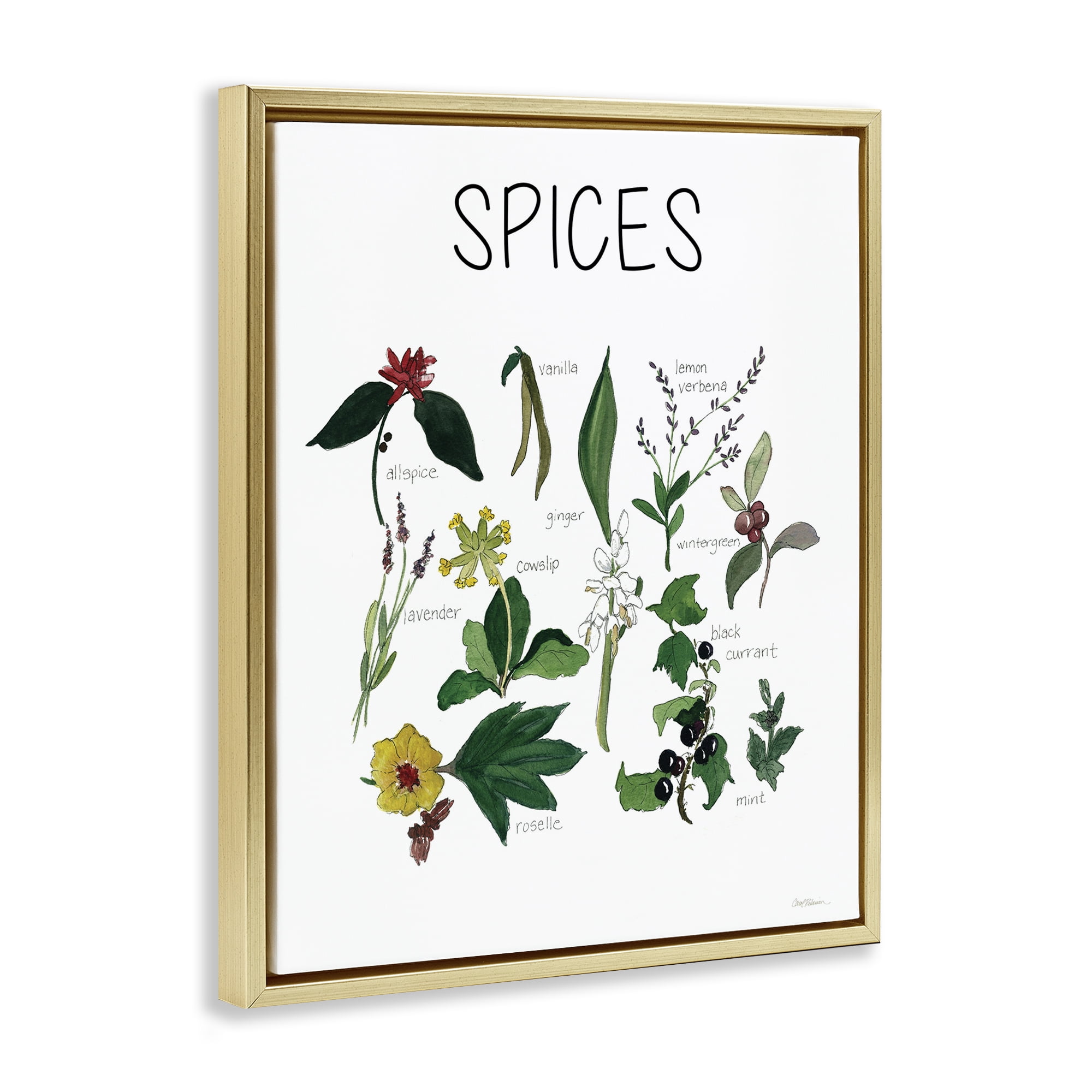 Stupell Industries Spices Identification Chart Gold Framed Floater Canvas Wall Art, design by Carol Robinson