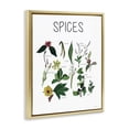 thumbnail image 2 of Stupell Industries Traditional Spices Identification Chart Gold Floating Frame Canvas Art, 17 x 21, by Carol Robinson, 2 of 8