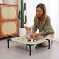 thumbnail image 5 of Cute Elevated Cat Bed Raised Pet Cot with Fun Print, Cooling Breathable Mesh for Cats Kittens Small Dogs, Avocado Cartoon Pattern Kitten Puppy Bed Indoor Outdoor, 5 of 5