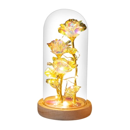 EWSFHUI Eternal Rose for Women Light Up Rose in Glass Dome Led Night Light Valentine s Day Christmas Birthday Gifts for Wife Daughter Sister Friend A