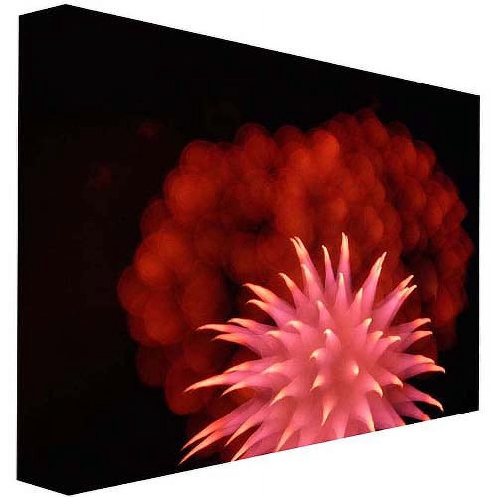 Trademark Art "Abstract Fireworks VII" Canvas Art by Kurt Shaffer