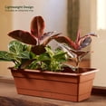 thumbnail image 2 of Bloem Dura Cotta 18" Terra Cotta Resin Rectangle Window Box Planter with Saucer Tray for Indoor and Outdoor Gardening, 2 of 6