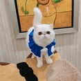 thumbnail image 3 of Pet Collar Creative Knitted Elastic Fashion Pet Bib Pet Costume Collar for Cat, 3 of 7