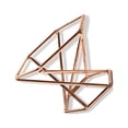 thumbnail image 1 of Soporte de exhibición Soidarity para plantas de aire de metal rosa estrella, 1 of 6
