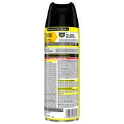 Raid Defense System Indoor and Outdoor Ants, Roaches, Spiders and Flies Insect Killer Bug Spray, 15 oz