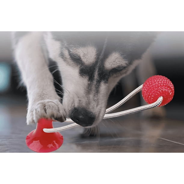 Juguete rojo para mascotas, pelota de goma con ventosa, cuerda para masticar, pelota interactiva, cuerda de entrenamiento para cachorros para limpiar los dientes.
