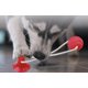thumbnail image 1 of Juguete rojo para mascotas, pelota de goma con ventosa, cuerda para masticar, pelota interactiva, cuerda de entrenamiento para cachorros para limpiar los dientes., 1 of 5
