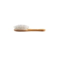 thumbnail image 4 of Pet Brush Bass Cepillos pequeños de alambre ovalado con mano de madera de bambú, 4 of 9