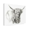 thumbnail image 2 of Jennifer Paxton Parker 'Soft Focus Highland Cattle I' Canvas Art, 2 of 4