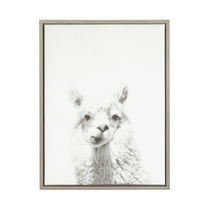 Kate and Laurel Sylvie Alpaca Black and White Portrait Framed Canvas Wall Art by Simon Te Tai, 18x24 Gray