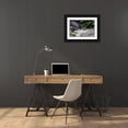 thumbnail image 3 of Engelbrecht, Jim 18x13 Black Ornate Wood Framed with Double Matting Museum Art Print Titled - Black Bear-Salmon run-Anan Creek-Wrangell-Alaska-USA, 3 of 4