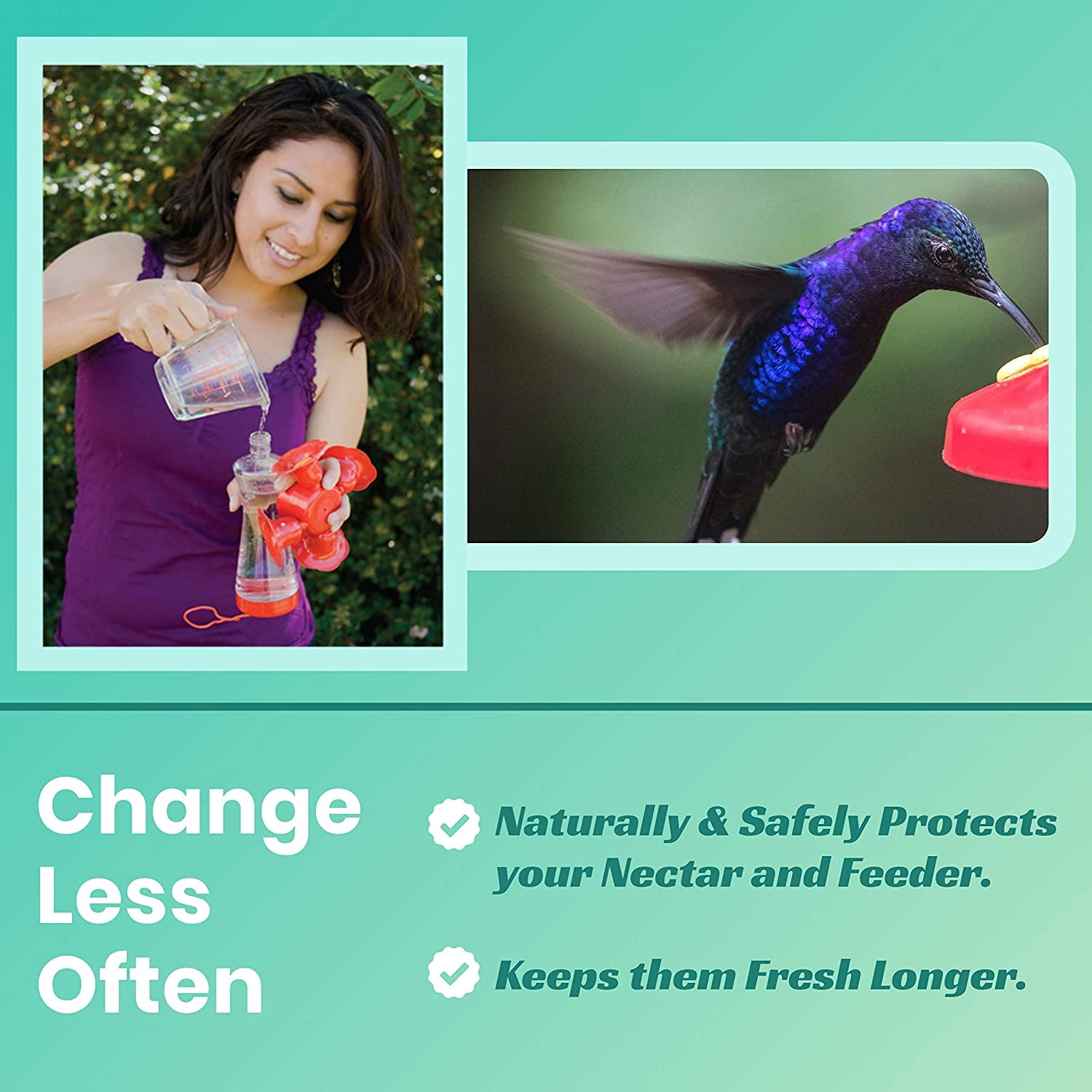 Nectar Defender - Hummingbird Nectar Extender | Prolongs the Life of Nectar Naturally