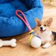 thumbnail image 4 of Pelota luminosa para cachorros que brilla en la oscuridad Pelota luminosa para cachorros con cuerda Pelotas de goma luminosas para cachorros pequeños, grandes y medianos Brilla en la oscuridad, 4 of 4