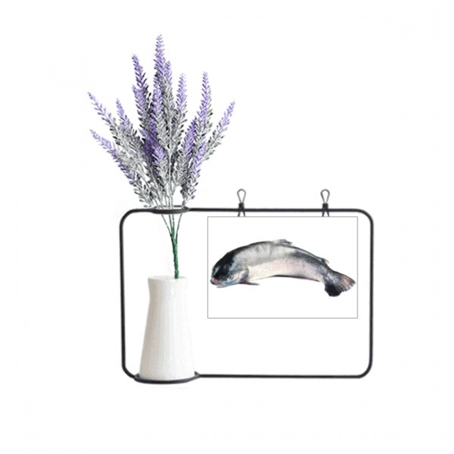 Ocean Fish Alive Activity Curly Artificial Lavender Flower Vase Bottle Card