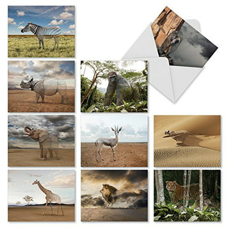 'M1736BN VANISHING WILDLIFE' 10 Assorted All Occasions Note Cards Feature Ghosting Images of Endangered Animals with Envelopes by The Best Card (Best Life Gain Cards)