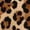 Coffee-A, variant on Men's Leopard Summer Tops Crew Neck Short Sleeve Graphic Tees Vintage Plus Size T Shirt Coffee XL(XL)